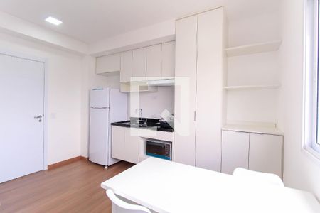 Cozinha de kitnet/studio para alugar com 1 quarto, 21m² em Belenzinho, São Paulo