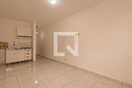Sala/Quarto/Cozinha de kitnet/studio para alugar com 1 quarto, 30m² em Centro, Guarulhos