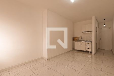Sala/Quarto/Cozinha de kitnet/studio para alugar com 1 quarto, 30m² em Centro, Guarulhos