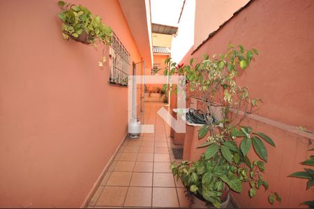 Casa à venda com 223m², 3 quartos e 2 vagasQuintal