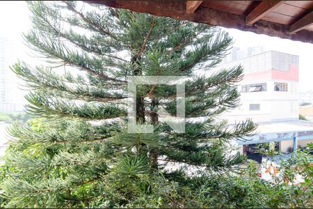 Casa à venda com 600m², 6 quartos e 4 vagas Casa à venda com 600m², 6 quartos e 4 vagasVista do Closet da Suíte 5