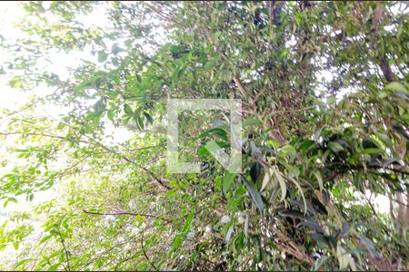 Casa à venda com 600m², 6 quartos e 4 vagas Casa à venda com 600m², 6 quartos e 4 vagasVista da Suíte 2