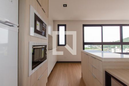 Cozinha de kitnet/studio para alugar com 1 quarto, 44m² em Saco dos Limões, Florianópolis