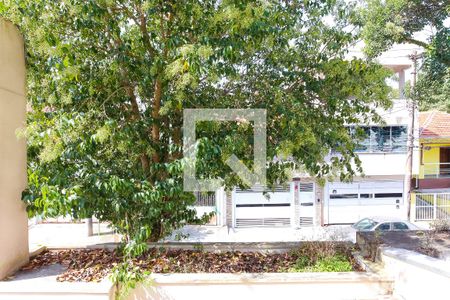 Vista da Varanda do Quarto 1 de apartamento para alugar com 2 quartos, 50m² em Parque João Ramalho, Santo André