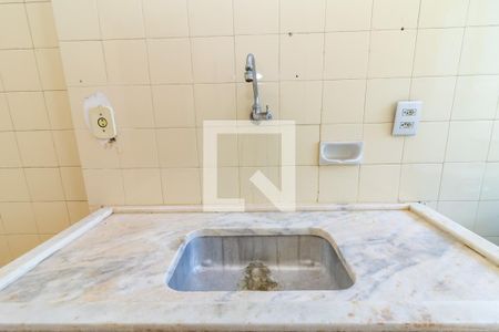 Apartamento para alugar com 53m², 2 quartos e 1 vagaCozinha - Torneira