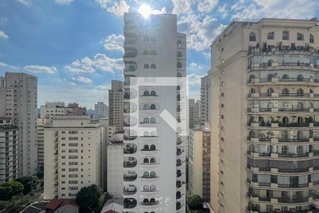 Vista de apartamento para alugar com 3 quartos, 380m² em Jardim Paulista, São Paulo