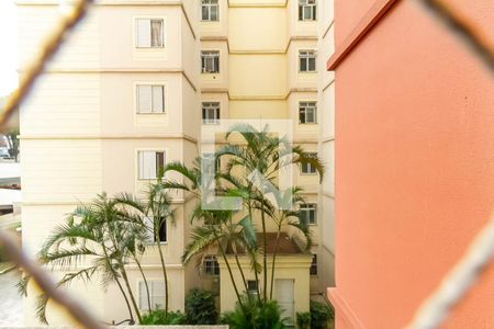 Apartamento para alugar com 65m², 3 quartos e 1 vagaVista da Área de Serviço