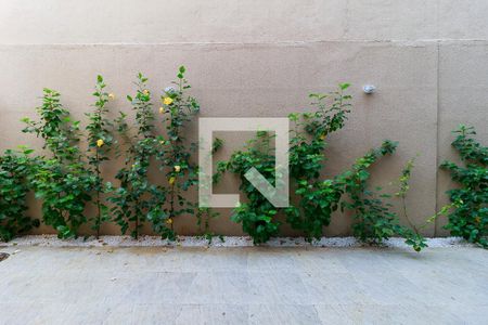 Apartamento para alugar com 114m², 2 quartos e 1 vagaQuintal