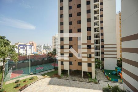 Apartamento à venda com 65m², 3 quartos e 1 vagaVista do quarto 03