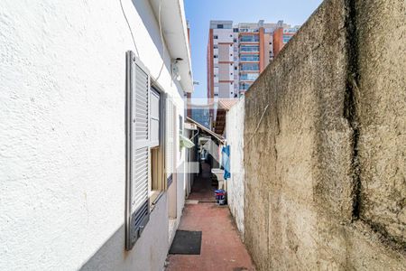 Casa à venda com 267m², 7 quartos e sem vagaCorredor lateral