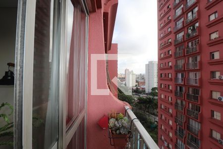 Varanda da Sala de apartamento para alugar com 3 quartos, 97m² em Casa Verde, São Paulo