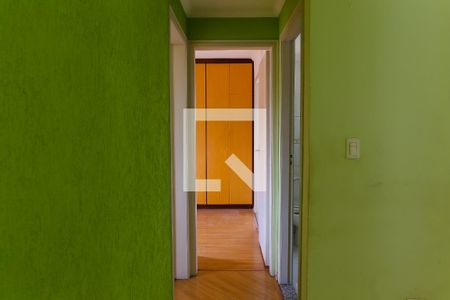 Corredor de apartamento para alugar com 2 quartos, 59m² em Vila Alto de Santo Andre, Santo André