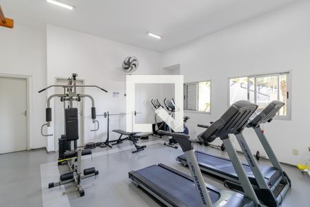 Apartamento à venda com 74m², 3 quartos e 2 vagas Apartamento à venda com 74m², 3 quartos e 2 vagasAcademia