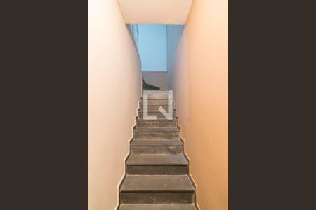 Escada de Entrada de casa para alugar com 3 quartos, 236m² em Parque das Nações, Santo André