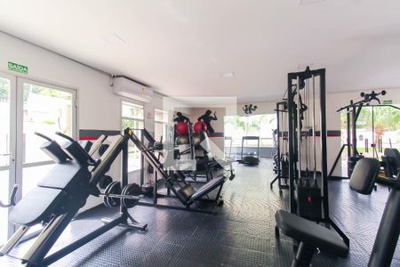 Área comum - Academia de apartamento para alugar com 3 quartos, 171m² em Vila Prudente, São Paulo
