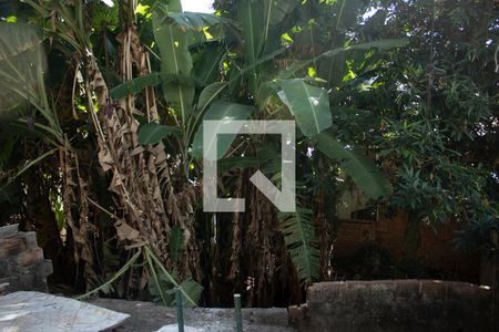 Quintal de casa à venda com 3 quartos, 109m² em Santa Cruz, Belo Horizonte