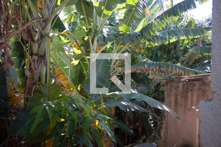 Quintal de casa à venda com 3 quartos, 109m² em Santa Cruz, Belo Horizonte