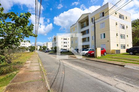 Apartamento para alugar com 50m², 2 quartos e 1 vaga Apartamento para alugar com 50m², 2 quartos e 1 vagaFachada do prédio e rua do condomínio (Rua Tulipa Negra)