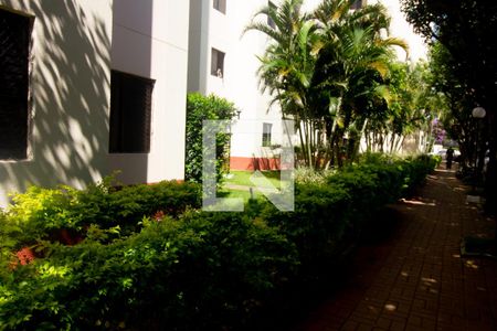 Apartamento à venda com 46m², 2 quartos e 1 vaga Apartamento à venda com 46m², 2 quartos e 1 vagaÁrea comum