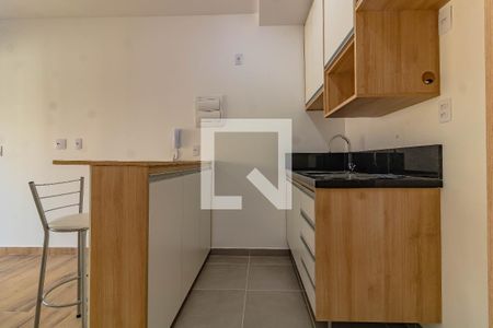 Apartamento para alugar com 35m², 1 quarto e sem vagaCozinha
