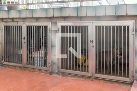 Casa à venda com 200m², 5 quartos e 3 vagas Casa à venda com 200m², 5 quartos e 3 vagasQuintal dos fundos - Canil