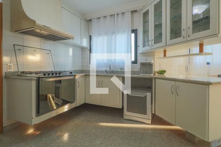 Apartamento à venda com 256m², 4 quartos e 4 vagasCozinha