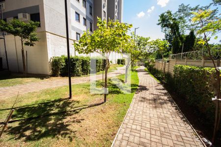 Apartamento para alugar com 50m², 2 quartos e 1 vaga Apartamento para alugar com 50m², 2 quartos e 1 vagaPista de corrida