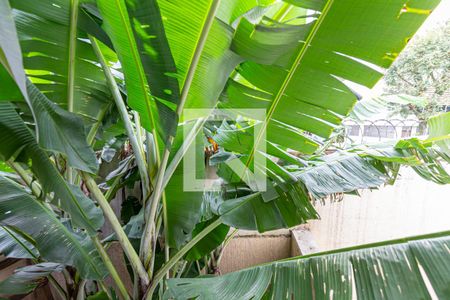 Casa à venda com 115m², 3 quartos e 2 vagasVista do Quarto 1