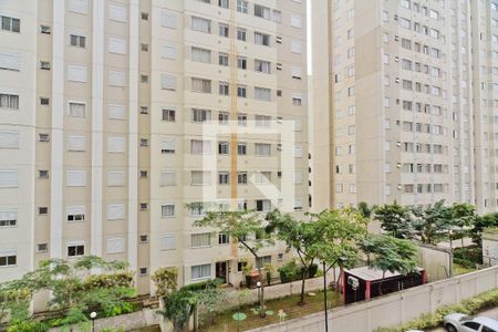 Quarto 1 de apartamento para alugar com 2 quartos, 46m² em Jardim Iris, São Paulo
