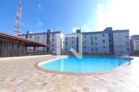 Área comum - Piscina de apartamento para alugar com 1 quarto, 48m² em Jardim São Vicente, Campinas