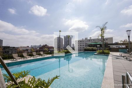 Apartamento para alugar com 55m², 2 quartos e 1 vaga Apartamento para alugar com 55m², 2 quartos e 1 vagaÁrea comum - Piscina