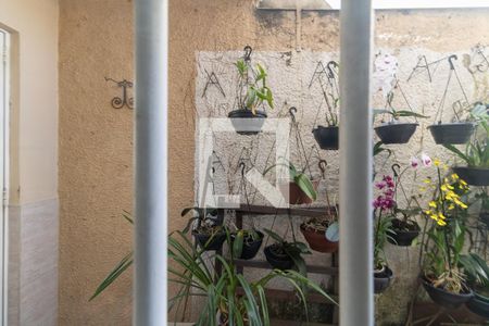 Vista da Sala de casa à venda com 3 quartos, 250m² em Vila Moinho Velho, São Paulo