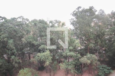 Apartamento para alugar com 50m², 2 quartos e 1 vagaQuarto 1 - Vista