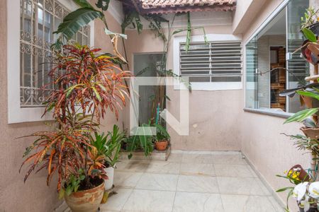 Casa para alugar com 300m², 3 quartos e 4 vagas Casa para alugar com 300m², 3 quartos e 4 vagasQuintal