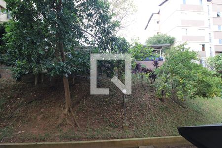 Vista janela da sala de apartamento para alugar com 2 quartos, 50m² em Vila Inglesa, São Paulo