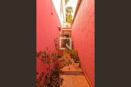 Casa à venda com 250m², 3 quartos e 2 vagasÁrea de Serviço