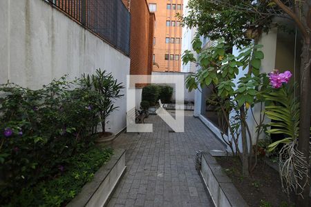 Área Comum - Jardim de apartamento para alugar com 3 quartos, 174m² em Jardim Paulista, São Paulo