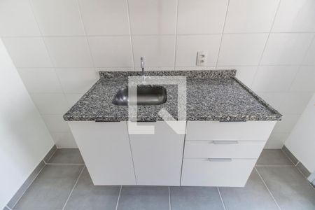 Apartamento para alugar com 52m², 2 quartos e 1 vaga Apartamento para alugar com 52m², 2 quartos e 1 vagaDetalhe da cozinha