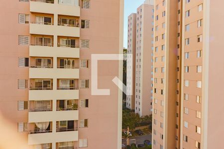 Varanda de apartamento à venda com 3 quartos, 65m² em Jardim Jaqueline, São Paulo