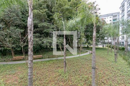 Bosque de apartamento para alugar com 2 quartos, 66m² em Santo Amaro, São Paulo