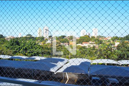 Vista da Sala de apartamento para alugar com 3 quartos, 70m² em Vila Aurocan, Campinas