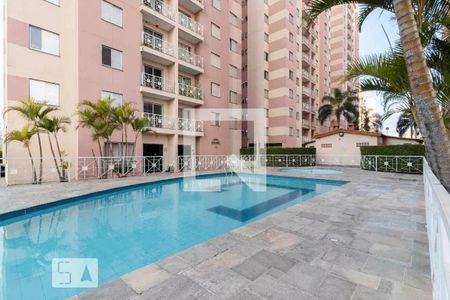Apartamento para alugar com 56m², 2 quartos e 1 vaga Apartamento para alugar com 56m², 2 quartos e 1 vagaÁrea comum - Piscina
