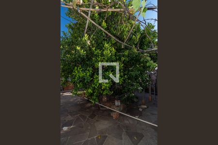 Casa à venda com 380m², 4 quartos e 4 vagasQuintal