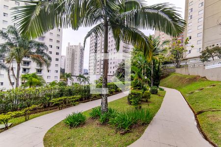 Apartamento para alugar com 70m², 3 quartos e 1 vaga Apartamento para alugar com 70m², 3 quartos e 1 vagaÁrea Comum