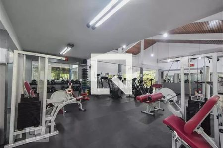 Apartamento para alugar com 50m², 2 quartos e 1 vaga Apartamento para alugar com 50m², 2 quartos e 1 vagaÁrea comum - Academia