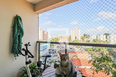 Varanda de apartamento à venda com 3 quartos, 70m² em Jardim Ester, São Paulo