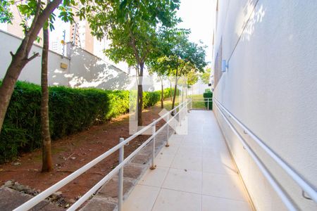 Apartamento à venda com 66m², 2 quartos e 1 vaga Apartamento à venda com 66m², 2 quartos e 1 vagaÁrea Comum - Espaço Pet