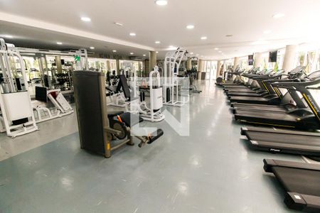Apartamento para alugar com 119m², 3 quartos e 2 vagas Apartamento para alugar com 119m², 3 quartos e 2 vagasÁrea comum - Academia