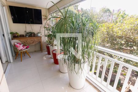 Varanda da Sala de apartamento para alugar com 3 quartos, 119m² em Lar São Paulo, São Paulo