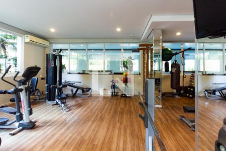 Apartamento à venda com 250m², 4 quartos e 5 vagas Apartamento à venda com 250m², 4 quartos e 5 vagasÁrea comum - Academia